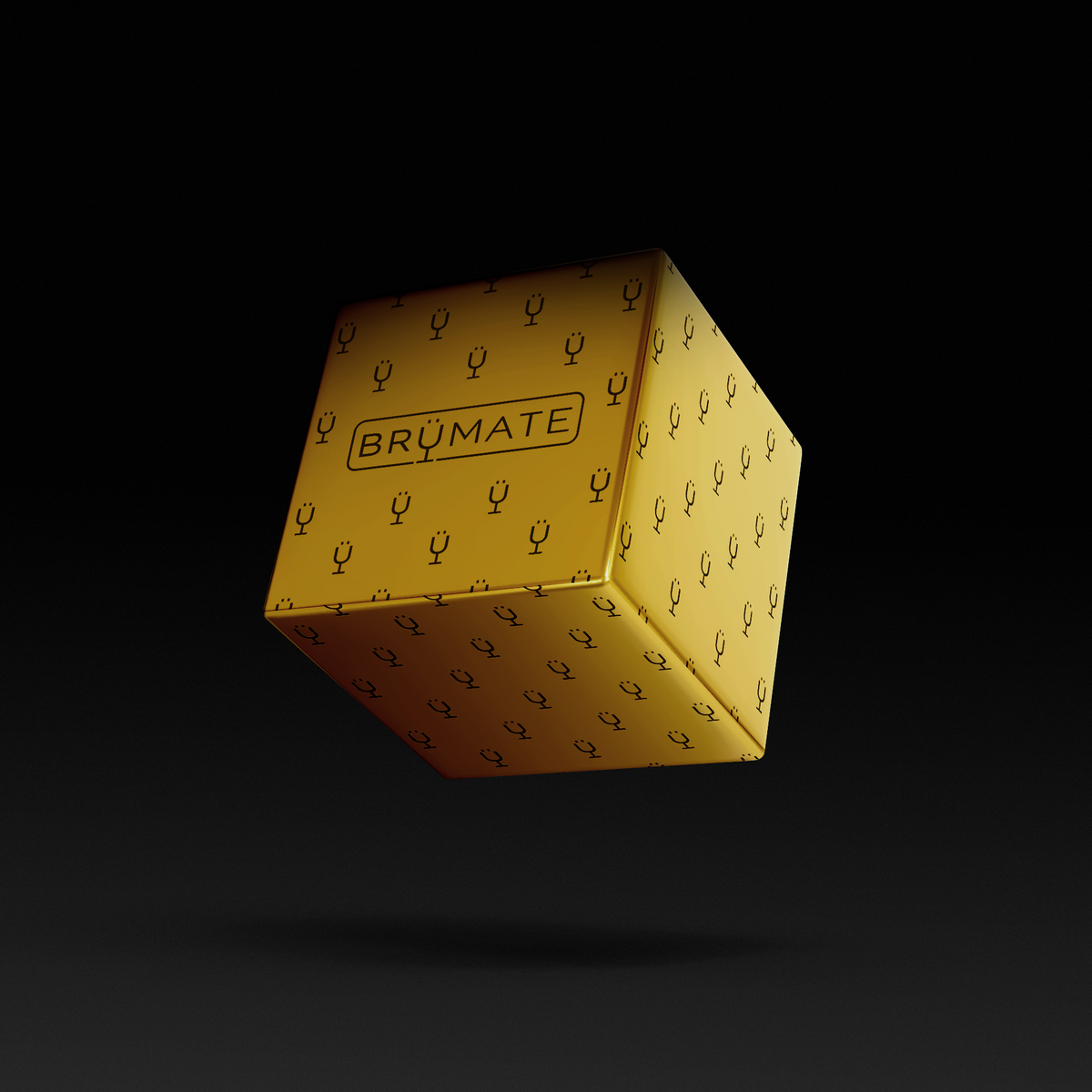 premium-mystery-item-39-70-value-i3 IMG-1548.png